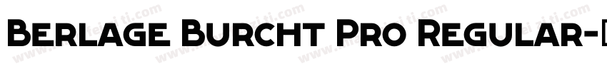 Berlage Burcht Pro Regular字体转换